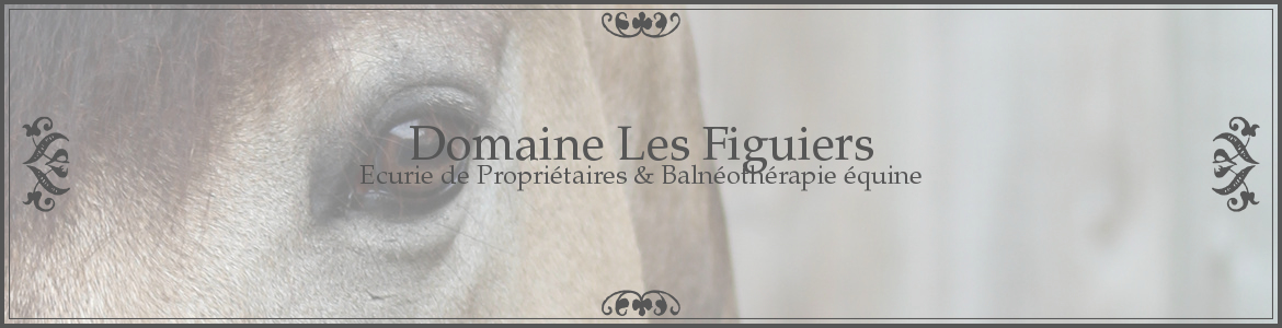 Domaine Les Figuiers